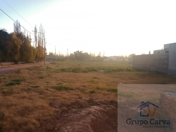 Terreno Lote Los Platanos