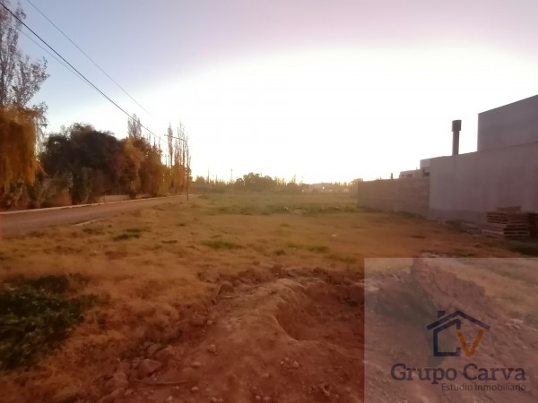 Terreno Lote Los Platanos