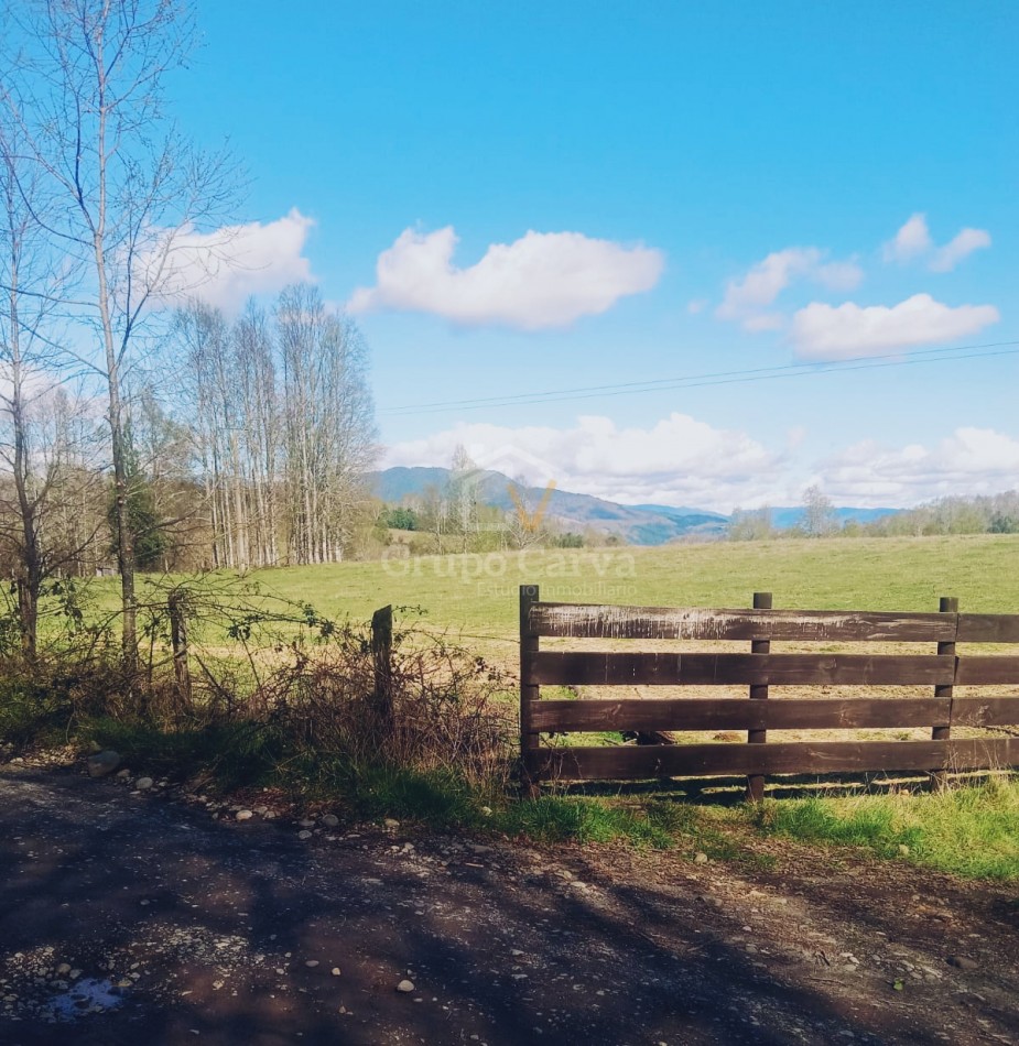 Terrenos en Panguipulli