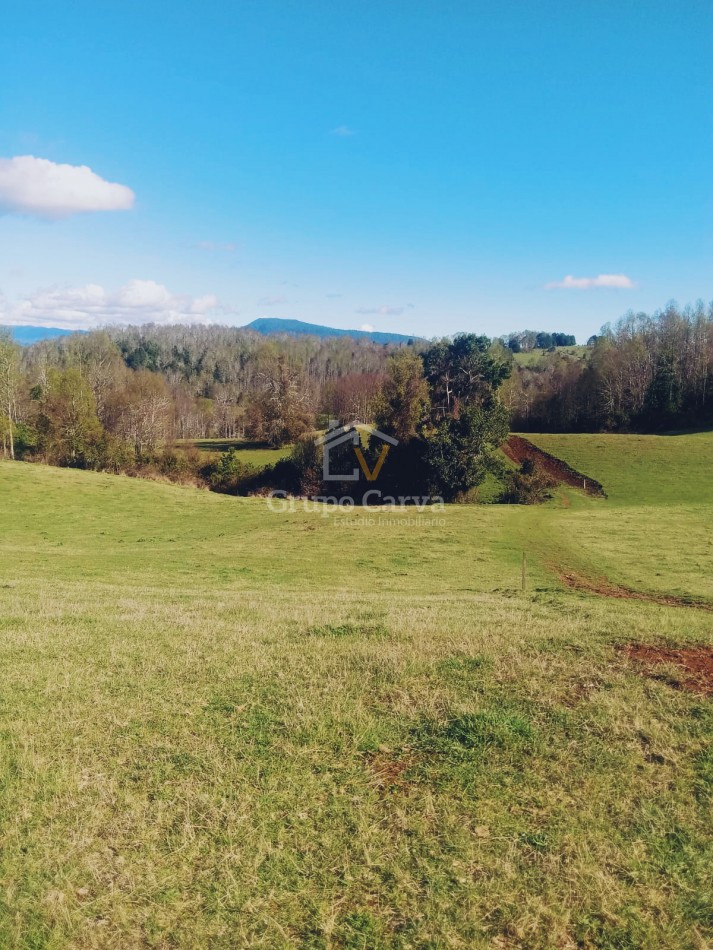 Terrenos en Panguipulli