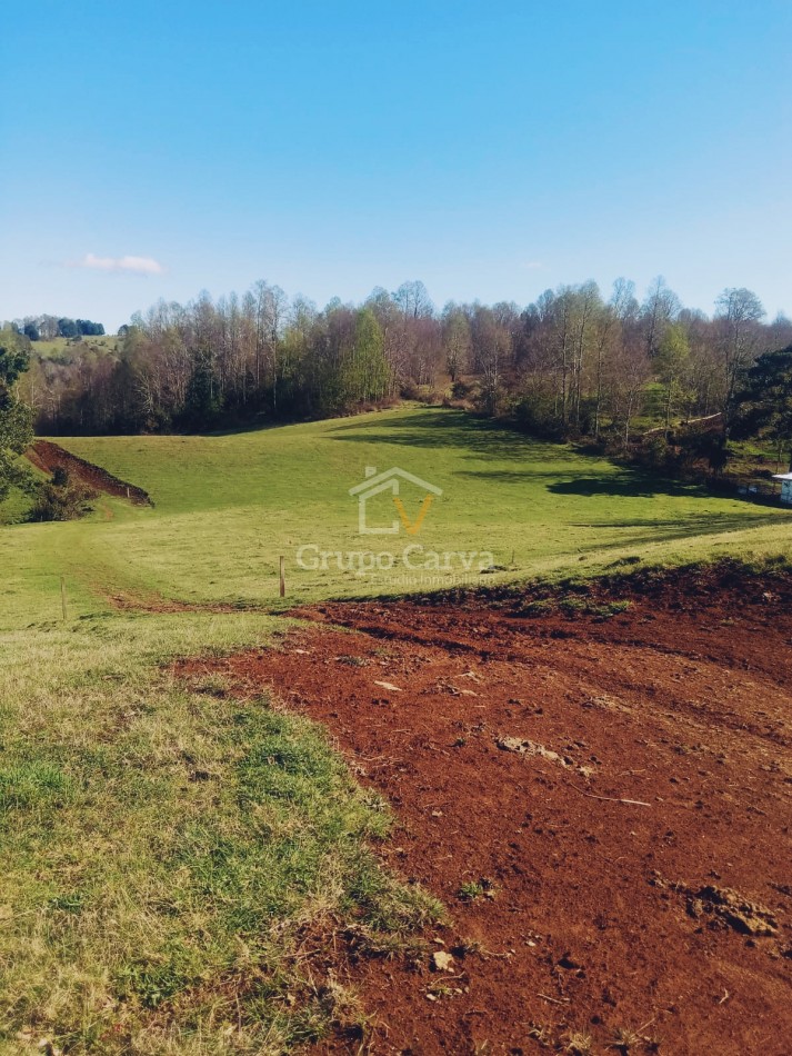 Terrenos en Panguipulli