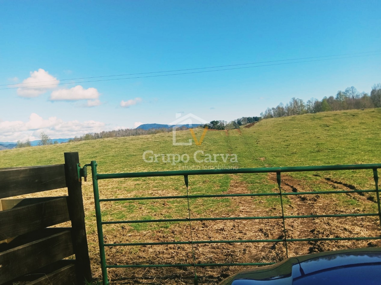 Terrenos en Panguipulli