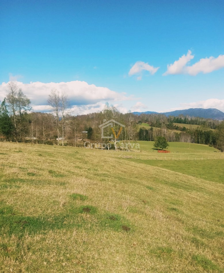 Terrenos en Panguipulli