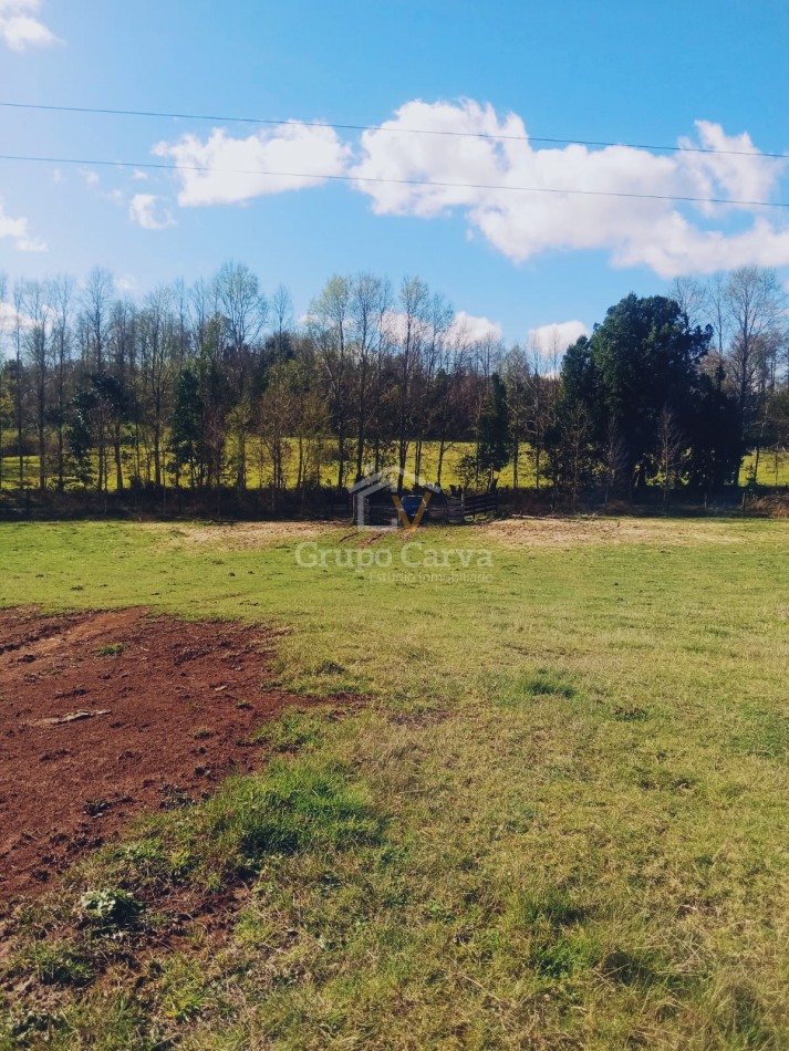 Terrenos en Panguipulli