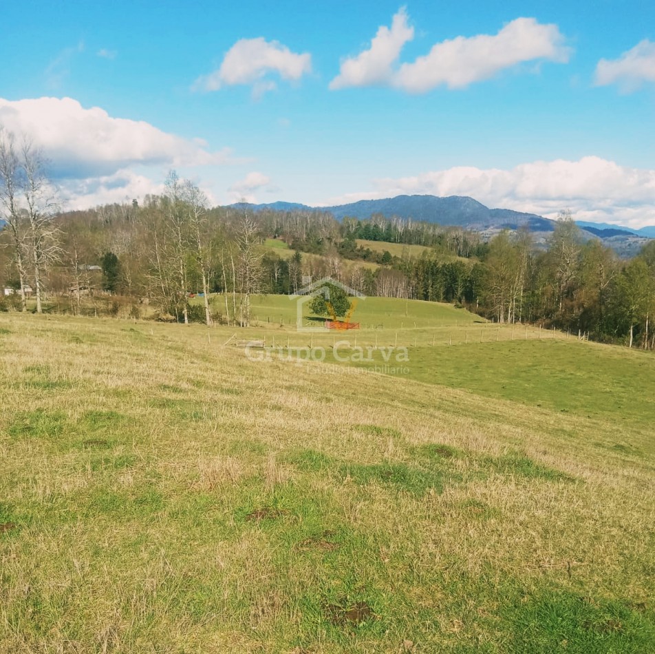 Terrenos en Panguipulli