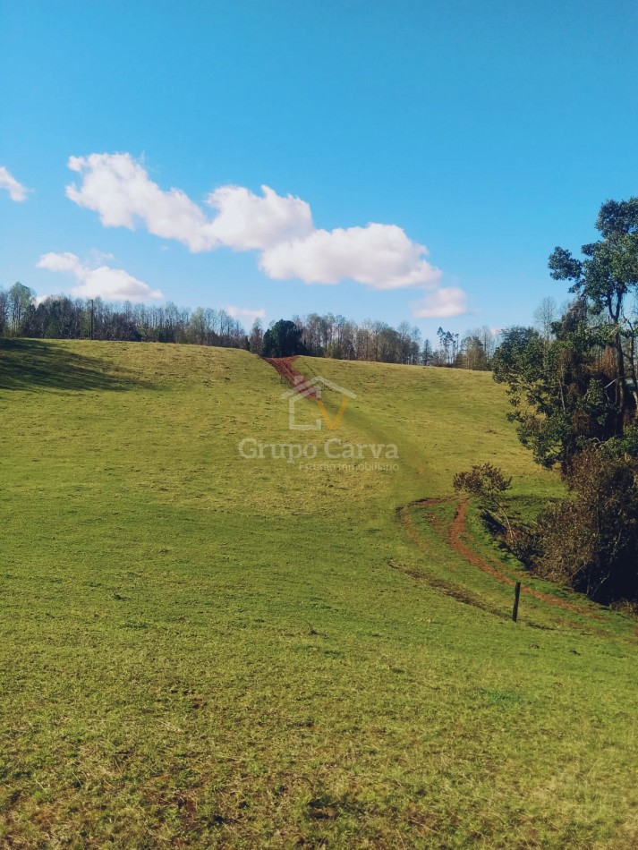 Terrenos en Panguipulli