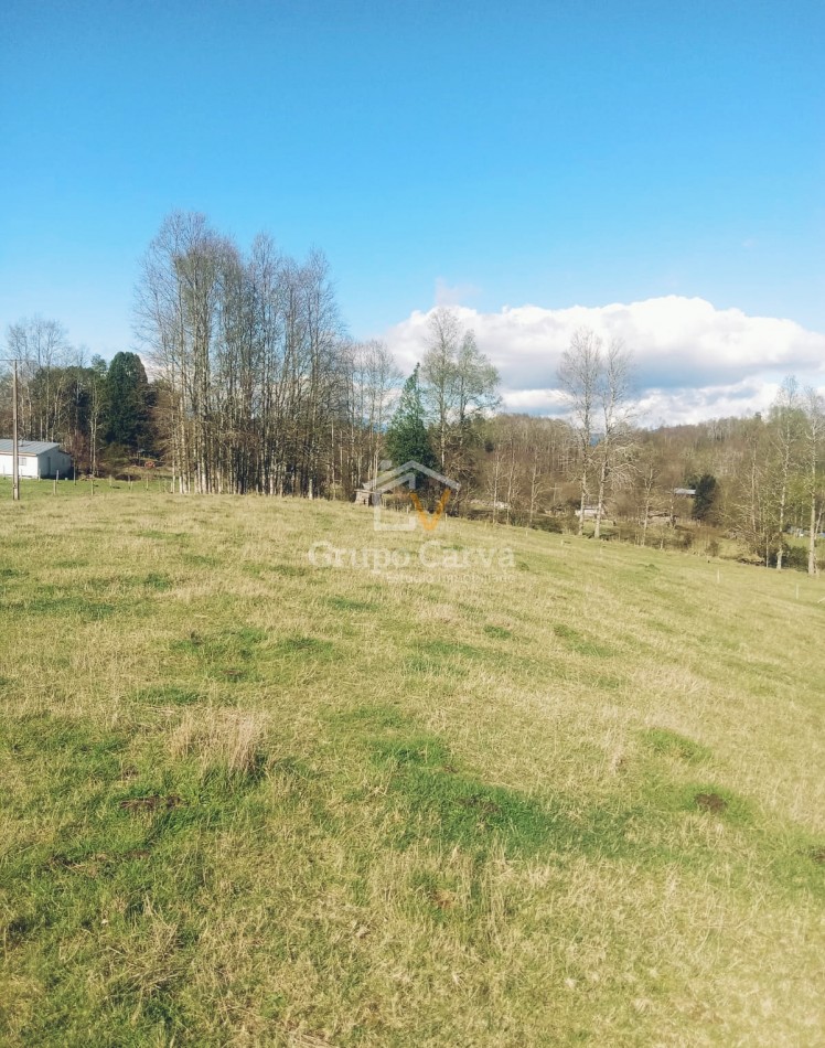 Terrenos en Panguipulli