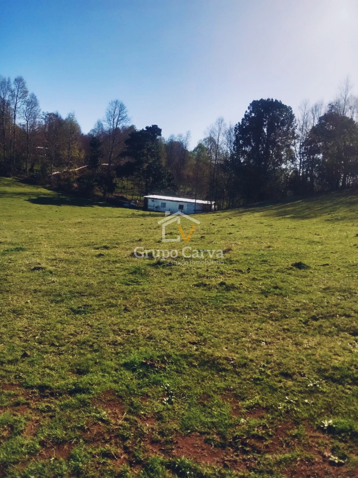 Terrenos en Panguipulli