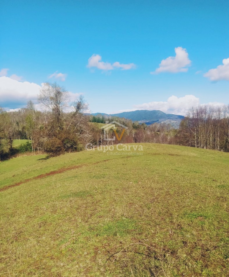 Terrenos en Panguipulli