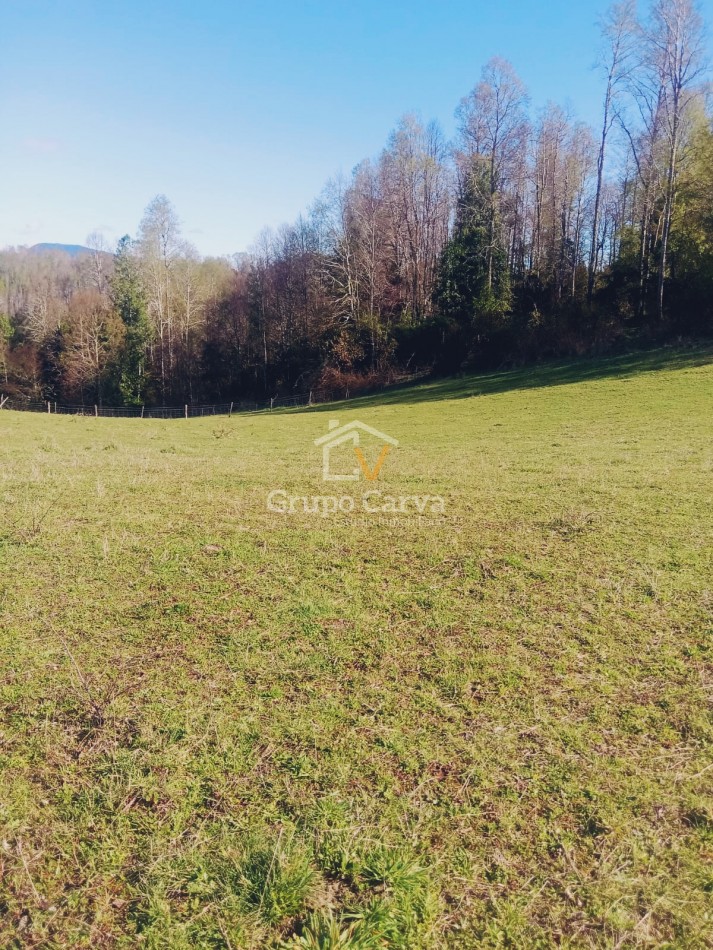 Terrenos en Panguipulli