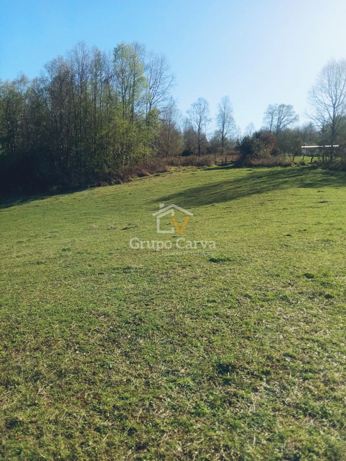 Terrenos en Panguipulli