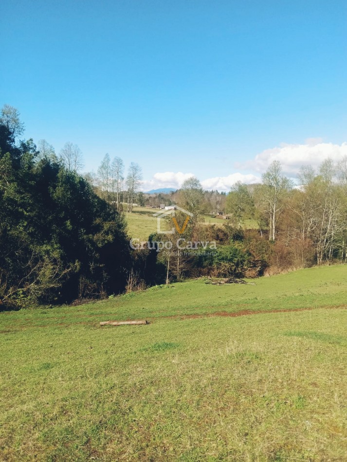 Terrenos en Panguipulli