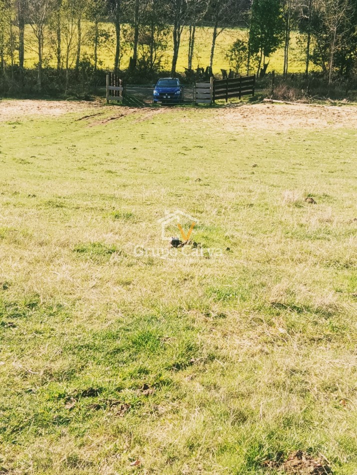 Terrenos en Panguipulli