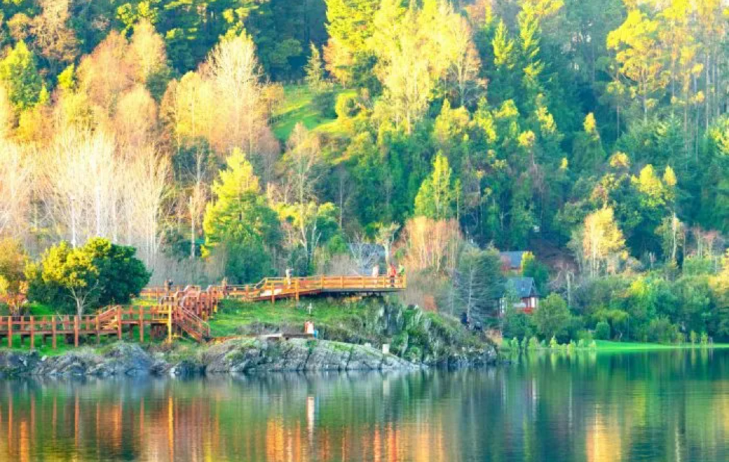 Terrenos en Panguipulli