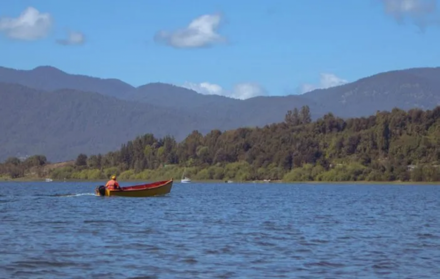 Terrenos en Panguipulli